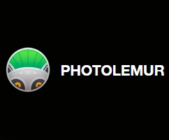 Photolemur